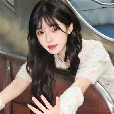 明治开化 新十郎侦探帖